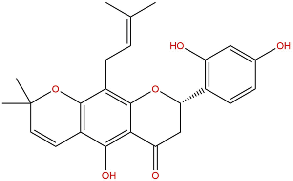 57096 07 8 - BIORLAB