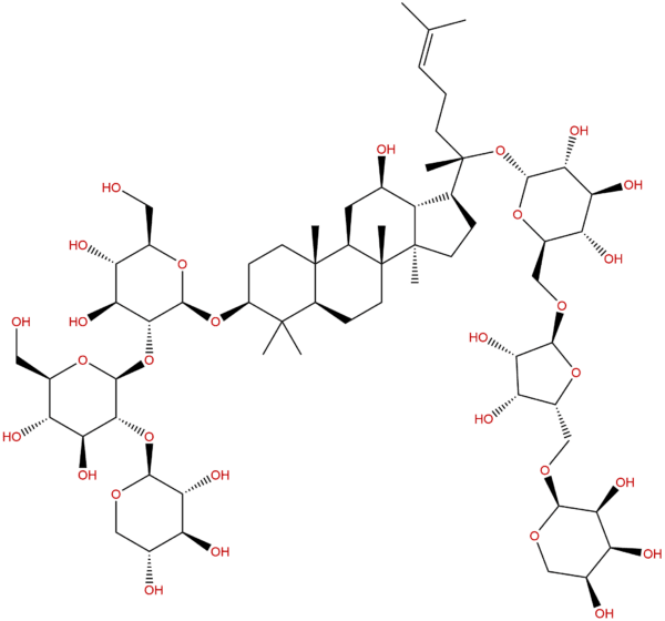 575446 95 6 - BIORLAB