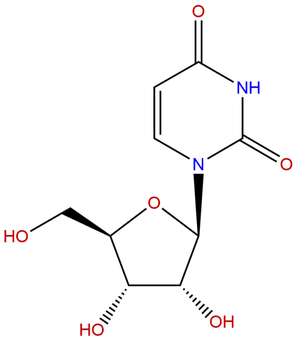 58 96 8 - BIORLAB