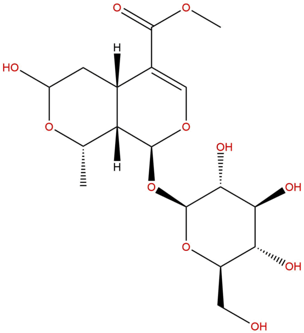 5810ec836b7b14aa1dda0ff72849a2de - BIORLAB