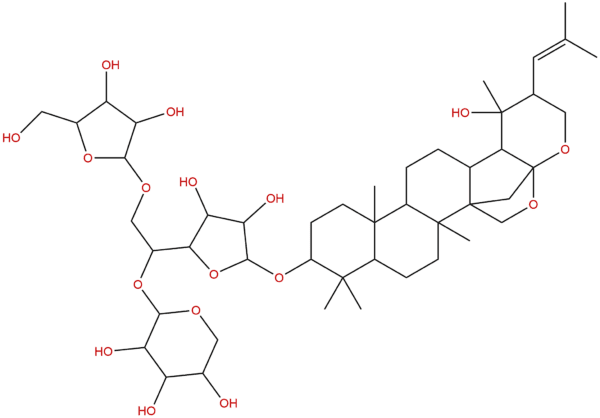 58798 95 1 - BIORLAB