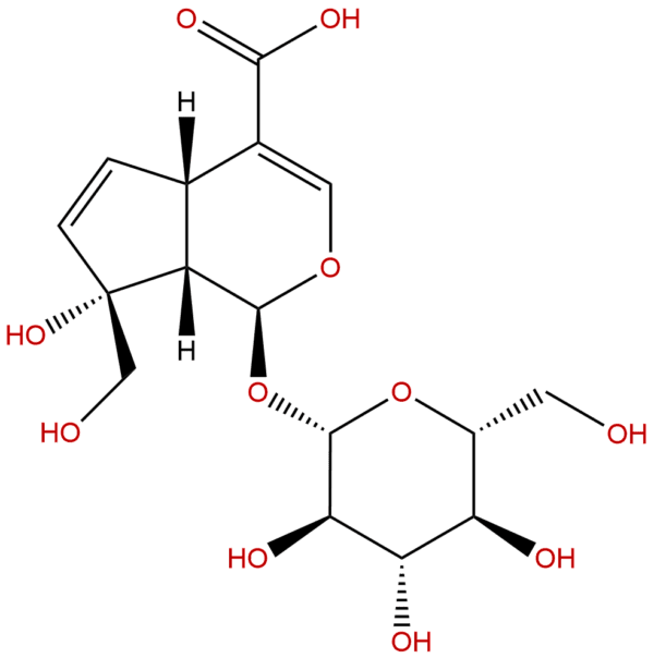 5945 50 6 - BIORLAB