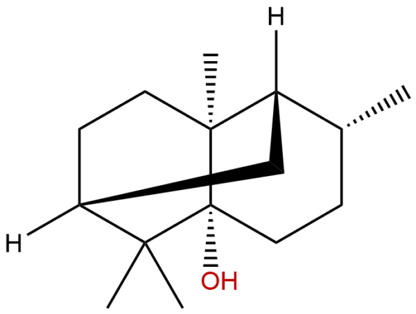 5986 55 0 - BIORLAB