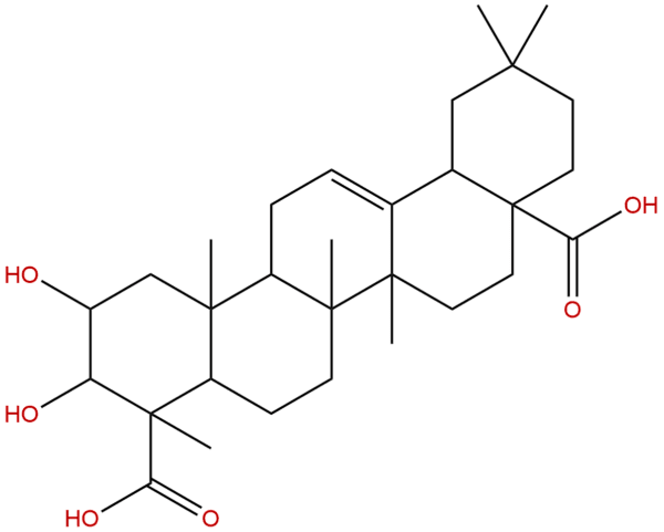 599 07 5 - BIORLAB