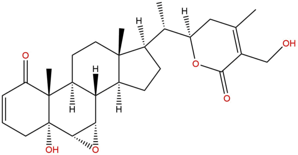 60124 17 6 - BIORLAB