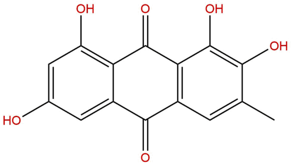 641 90 7 - BIORLAB