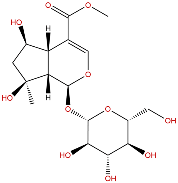 64421 28 9 - BIORLAB