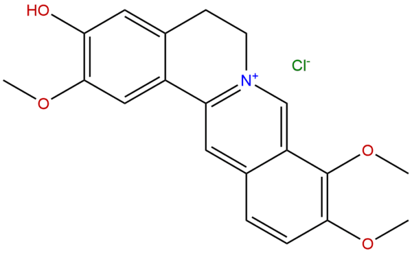 6681 15 8 - BIORLAB