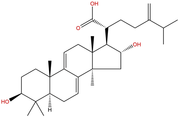 6754 16 1 - BIORLAB