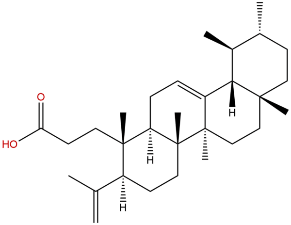 6812 81 3 - BIORLAB