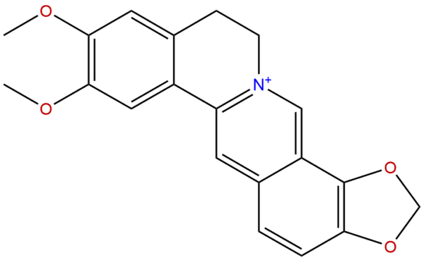 6873 09 2 - BIORLAB