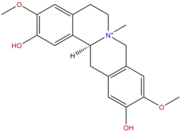 6873 13 8 - BIORLAB