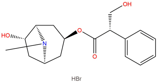 687ba934c88b65bc0aa5ed782c05552f - BIORLAB