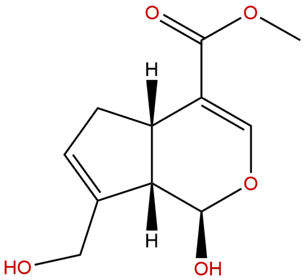 6902 77 8 - BIORLAB