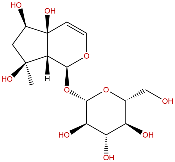 6926 08 5 - BIORLAB