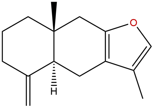 6989 21 5 - BIORLAB