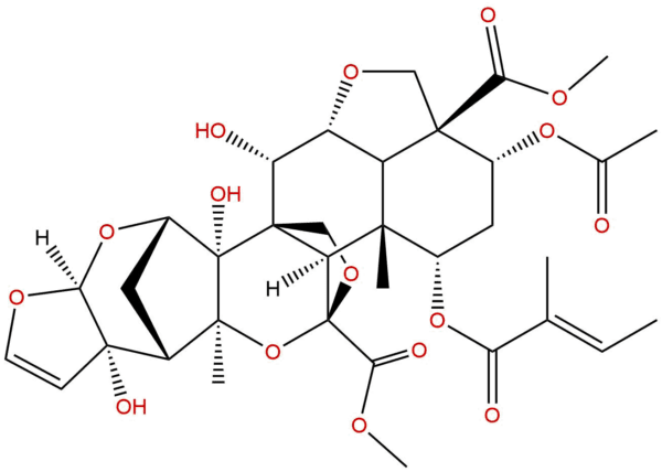 6c52a1bb4084528d03683a6a2bc5e7e4 - BIORLAB