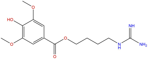 6f06534dc0e8f0e3e8f167af734d3538 - BIORLAB