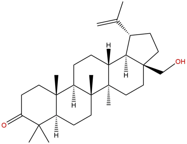 7020 34 0 - BIORLAB