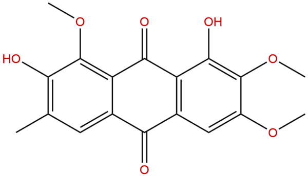 70588 05 5 - BIORLAB