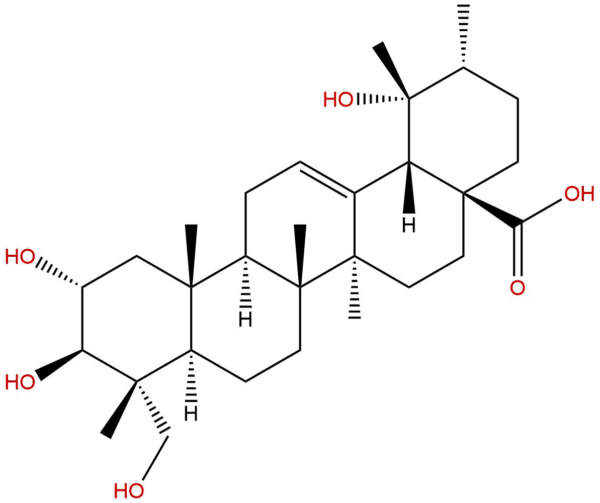 70868 78 9 - BIORLAB