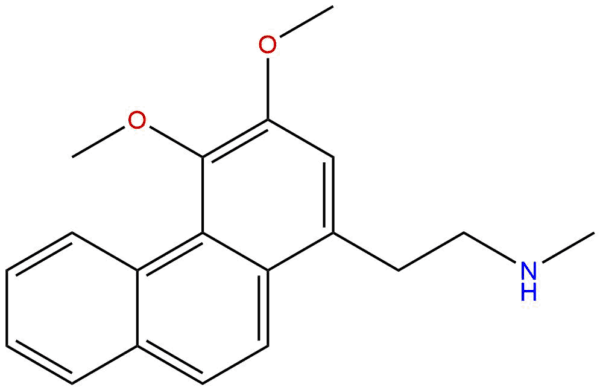 74606 53 4 - BIORLAB