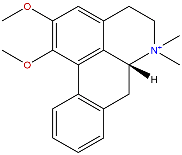 754919 24 9 - BIORLAB