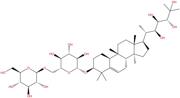 75801 95 5 - BIORLAB