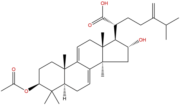 77012 31 8 - BIORLAB