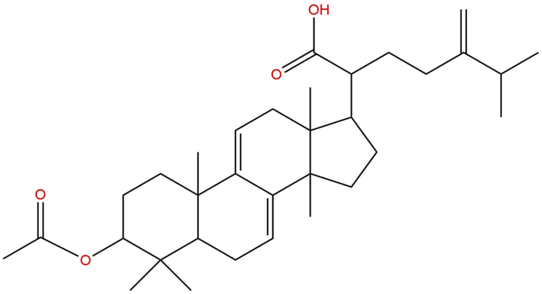 77035 42 8 - BIORLAB