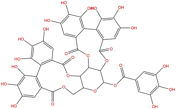 79786 00 8 - BIORLAB