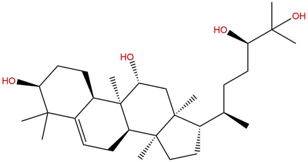 7cebc3f29862eb641c6d6942f09fceba - BIORLAB