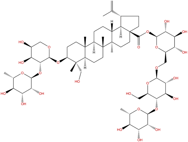 7d18db7e5bf1c8728c8e3070df26dff9 - BIORLAB