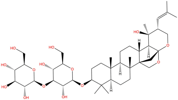 7d4657f907ecd34353b823c4153969bf - BIORLAB