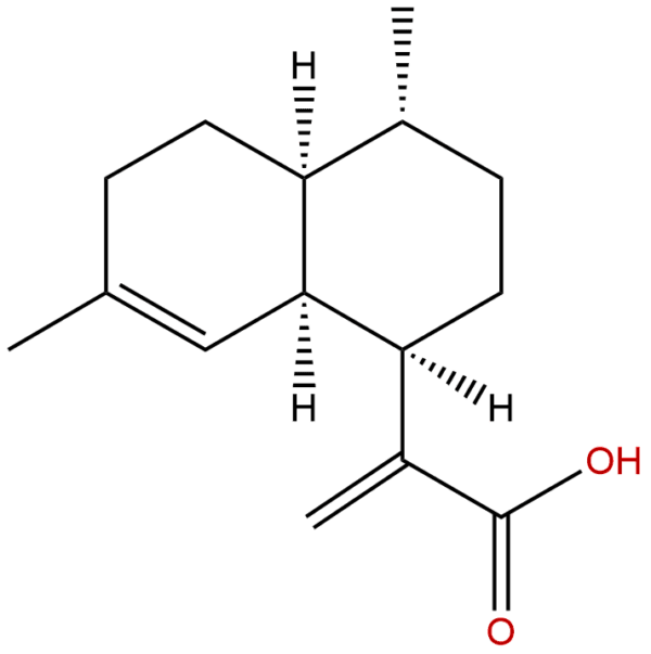 80286 58 4 - BIORLAB