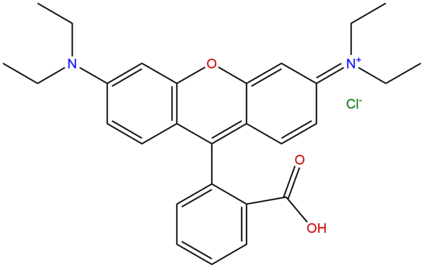 81 88 9 - BIORLAB