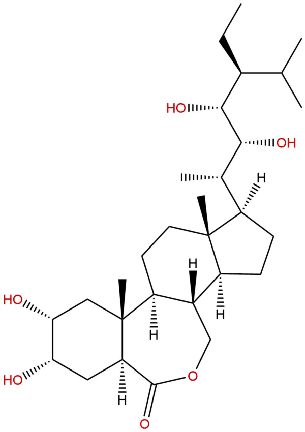 82373 95 3 - BIORLAB