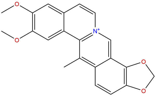 83218 34 2 - BIORLAB