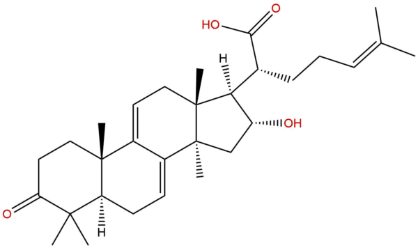 862109 64 6 - BIORLAB