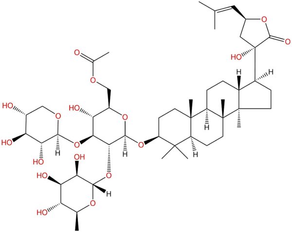 862286 45 1 - BIORLAB