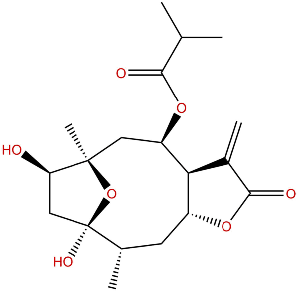 87f255b21cd1cebb03095f85c5f03d39 - BIORLAB