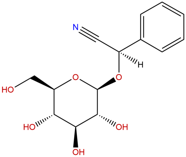 882d608d6d16b16bb861bb0cd9e4af37 - BIORLAB