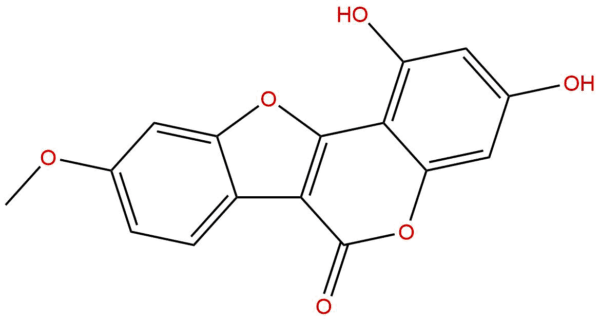 899436 04 5 - BIORLAB