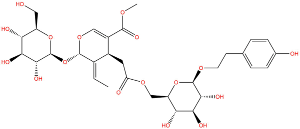 8a5f89b08f4c17f859683202f9cbd640 - BIORLAB