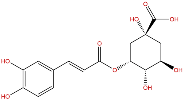 906 33 2 - BIORLAB