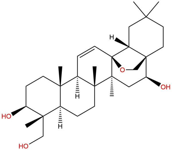 91a57bf3eac380f99ad131939853ed26 - BIORLAB