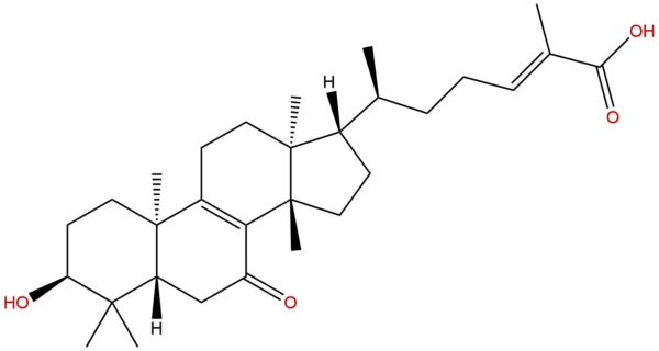 929248 72 6 - BIORLAB