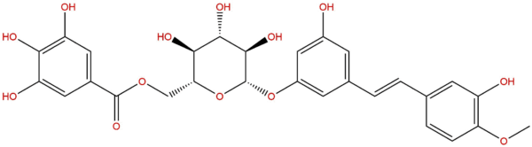 94356 23 7 - BIORLAB