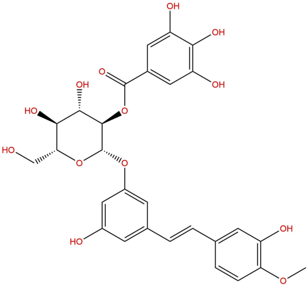 94356 24 8 - BIORLAB