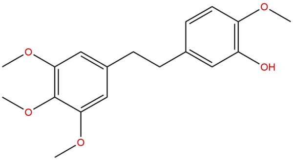 95041 90 0 - BIORLAB